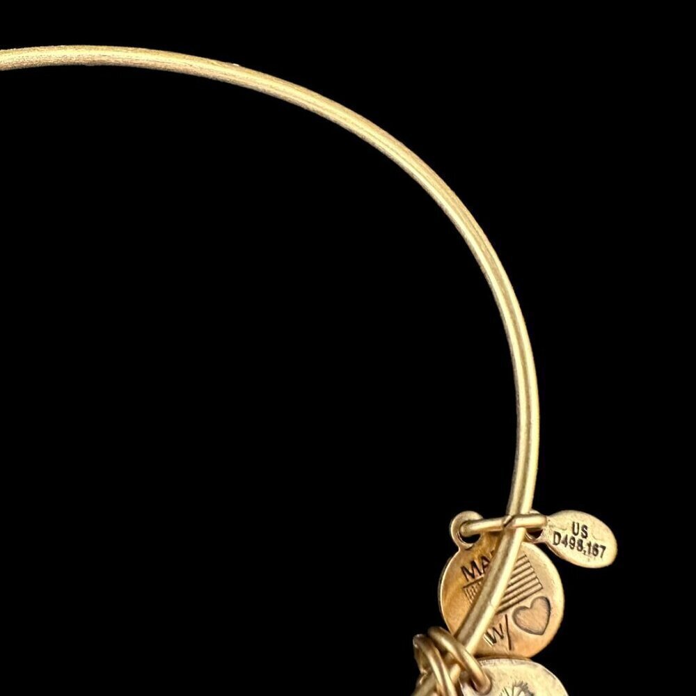 ALEX ANI Charm Bangle Bracelet Openwork Compass Rose Gold Tone Expandable Wire - Picture 10 of 12